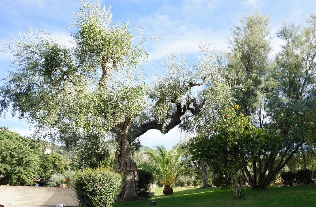 Oasimaremma Village Scarlino Exterior foto